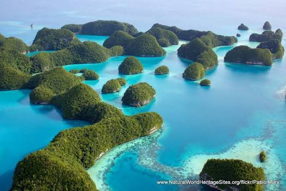 What are your thoughts on Palau taking third world migrants?