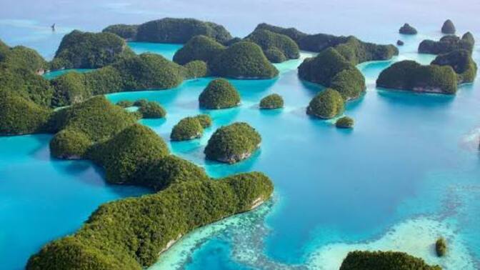 What are your thoughts on Palau taking third world migrants?
