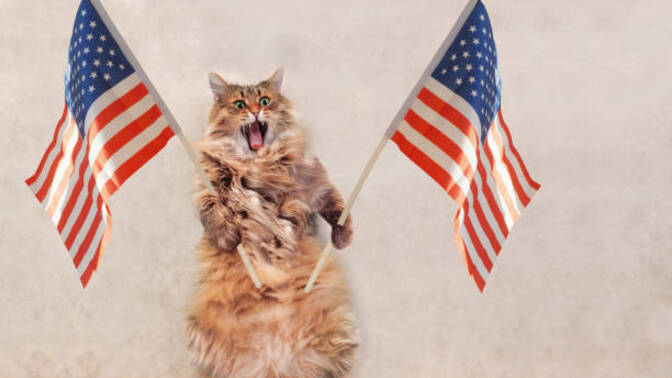 Isn't American nationalism so ridiculous?
