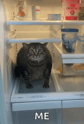 How much food would you say is in your fridge currently if you had to guess?