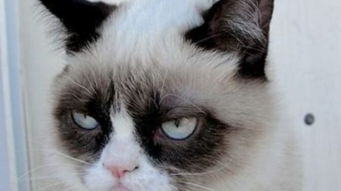 I'm starting to hate all holidays except Halloween. Anyone else feel the same?