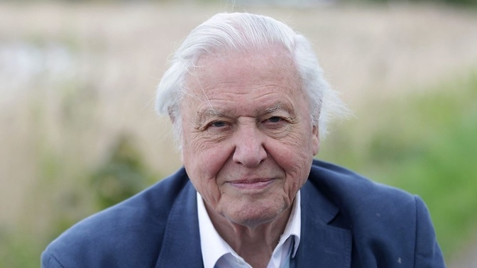 Does anyone else dislike David Attenborough?