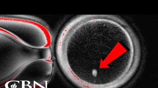 Are we women just net negative for the humanity now they can make egg cells from two men and artificial womb (see link)?