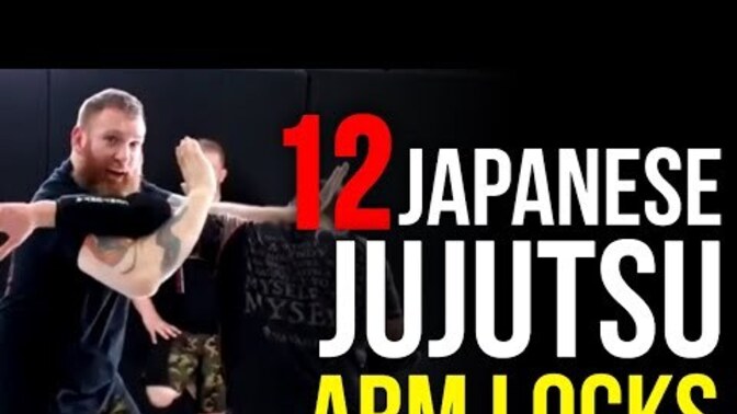 What do you think of this Japanese ju jitsu teaching video?