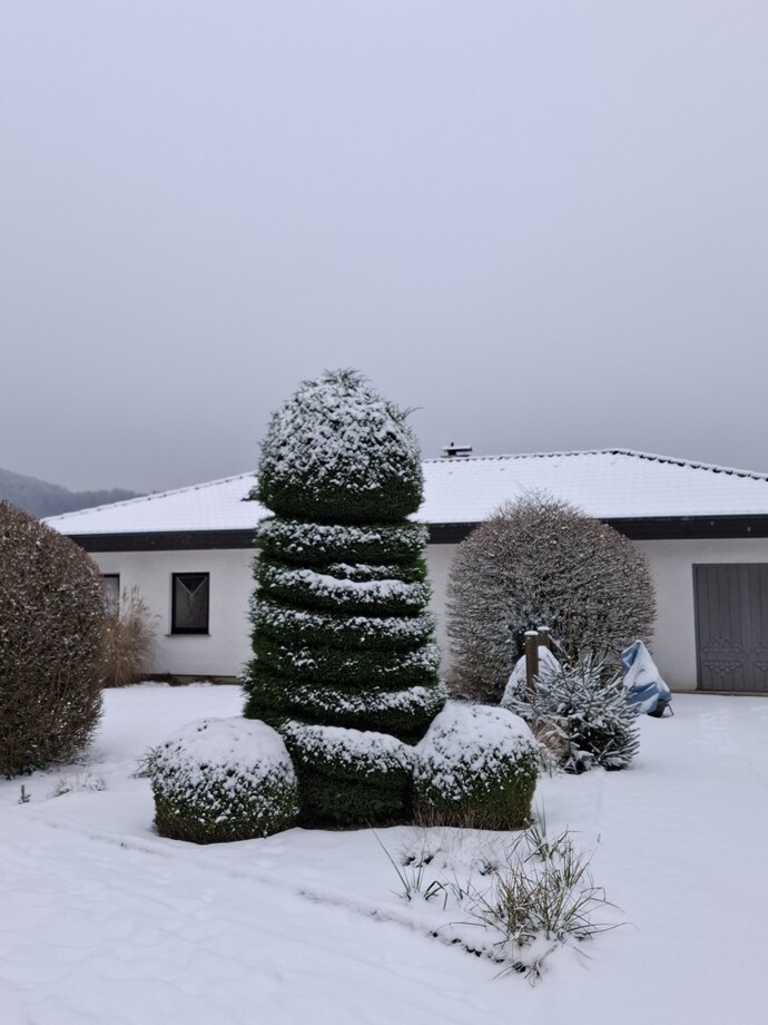 How is the weather where you live?