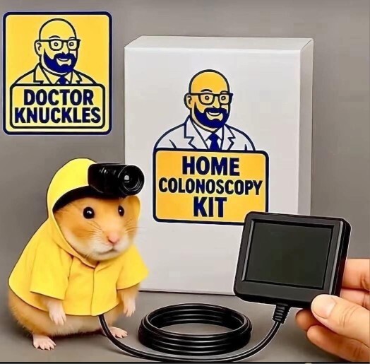 Have you ever fitted a camera to a pet?