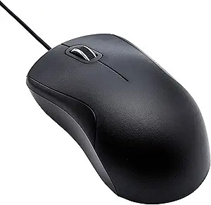 Does your computer MOUSE have a WHEEL?