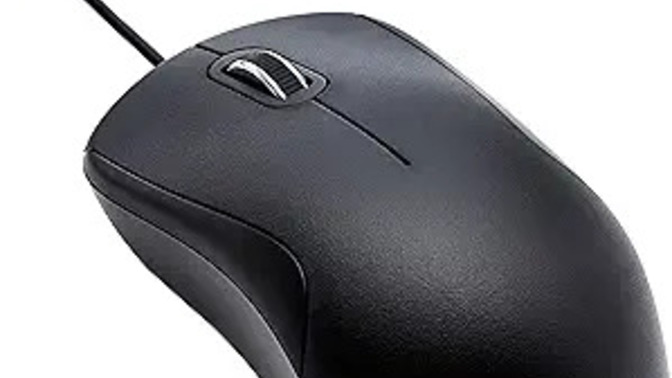Does your computer MOUSE have a WHEEL?