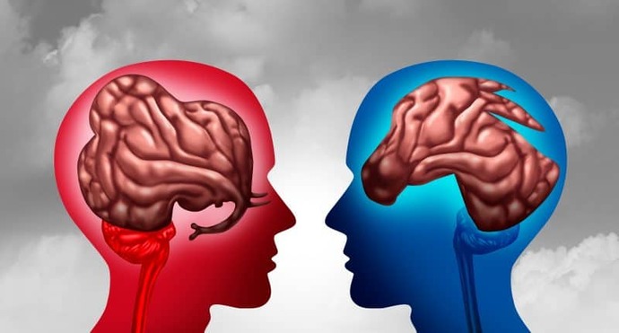 Cartoon showing brains as elephant and donkey