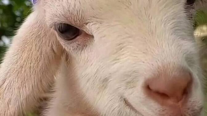 What’s a cute thing you’ve seen today?