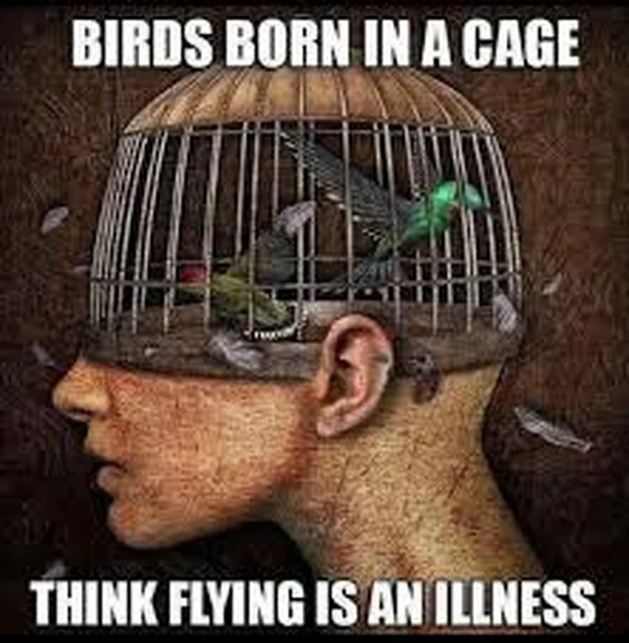 Can you imagine this mind set?