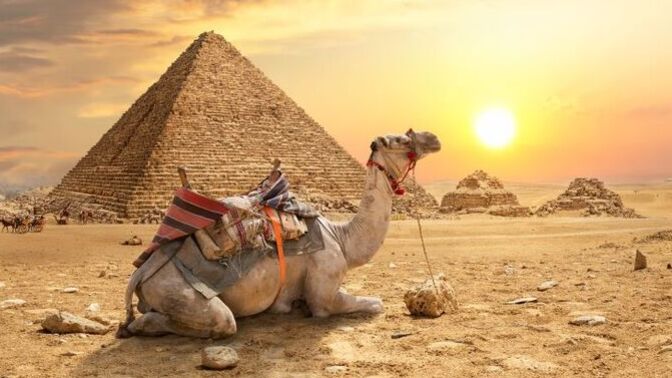 What is your dream country that you want to visit?