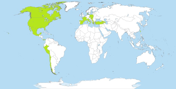 Can you guess what country I live in from my travel map?