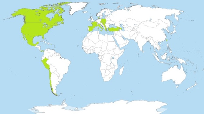 Can you guess what country I live in from my travel map?