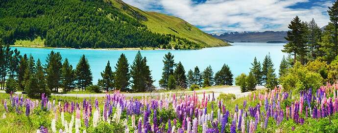 Do you have any trips planned this year?