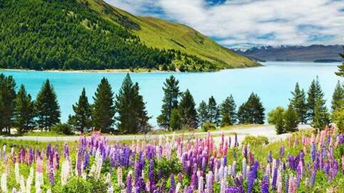 Do you have any trips planned this year?