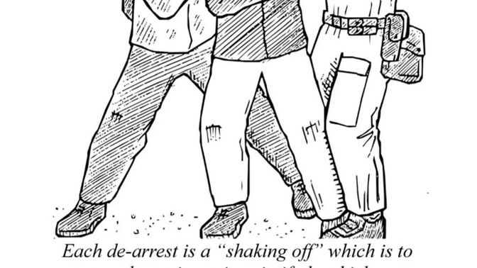 Renee Good’s ICE watch group shared Manuel detailing how to fight ICE. If there were to be charges against the ICE agent, would this help or hurt him?