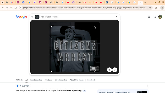 Did you see ICE Agent using his car as a weapon , Running ober little Boys on bike?