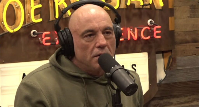 Is Joe Rogans description of ICE correct?