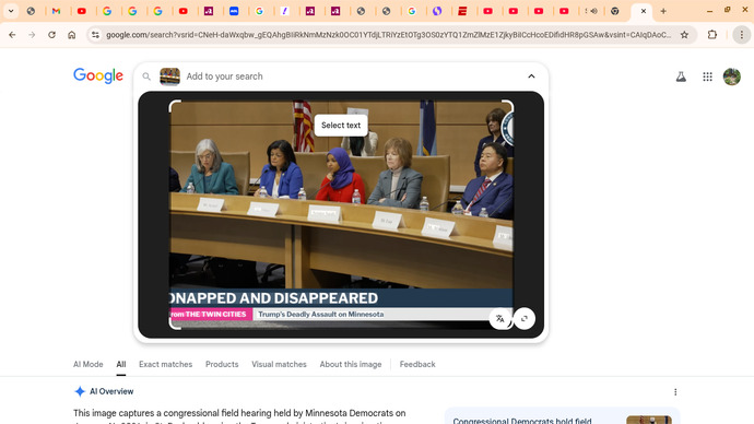 Did you see Congress meet with Minnesota officials over Renae Good murder?