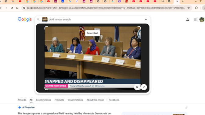 Did you see Congress meet with Minnesota officials over Renae Good murder?