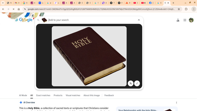 Assuming You Had Young Kids, Would You Read Them This Book For A Bedtime Story?