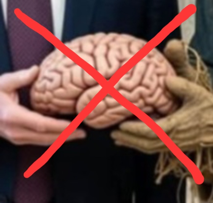 Should the Scarecrow give Donald Trump his brain?