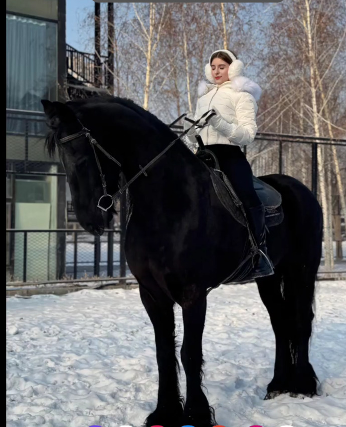 Are Akhal-Teke really worth ten Ferrari?