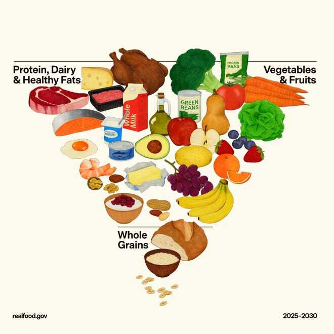 The New Food Pyramid 2026
