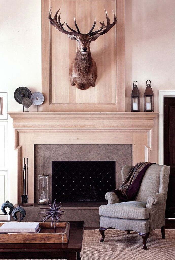 What do you think of deer head taxidermy?