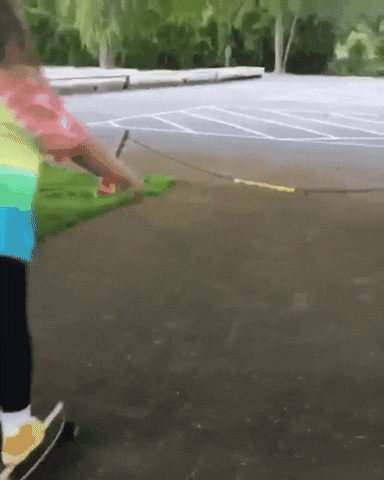 Fly a kite or Ride a Skateboard. Which one would you choose?