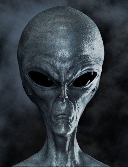 Would You Rather Be an Alien or a Snake?