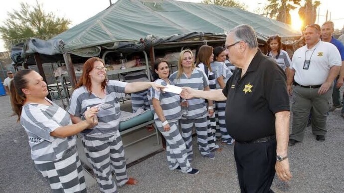 Each state should hold referendums to see if the citizens want to abolish city, county, state or federal police. How would you vote?