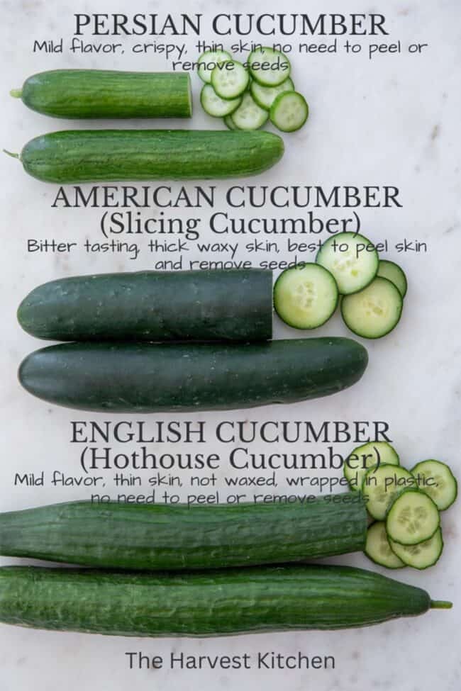Why are cucumbers smooth in Europe and nobbly in the US?