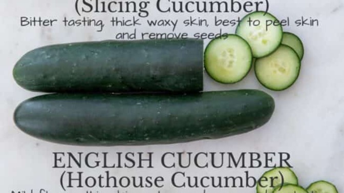 Why are cucumbers smooth in Europe and nobbly in the US?