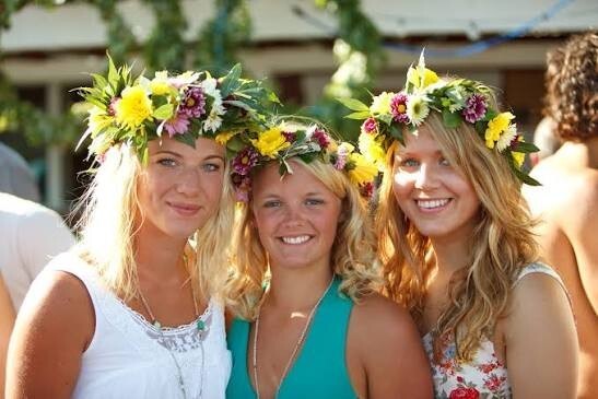 Should the US follow in Swedens footsteps and just flat out pay the illegals to go home?