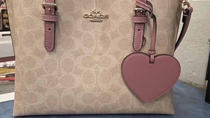 How cute is my new purse?