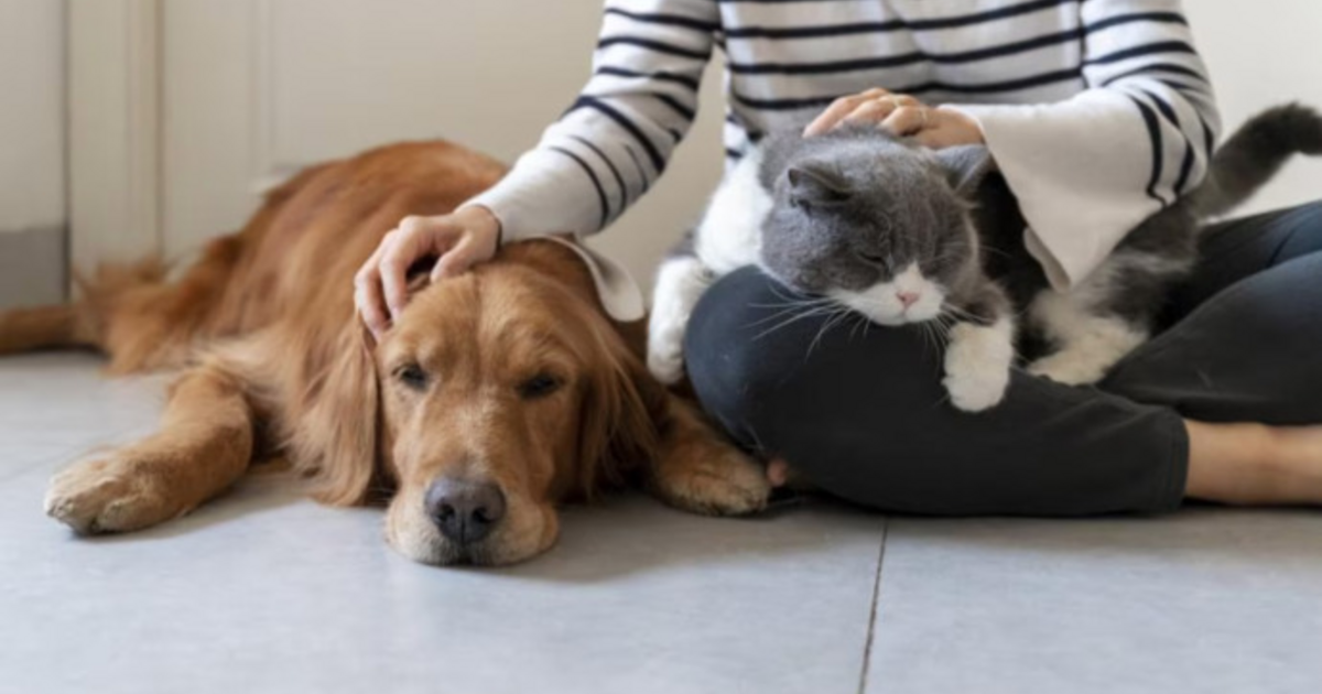 Do you have any pets and, if so, what kind? - GirlsAskGuys