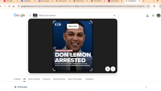 What do you think of Don Lemons arrest by Trump?