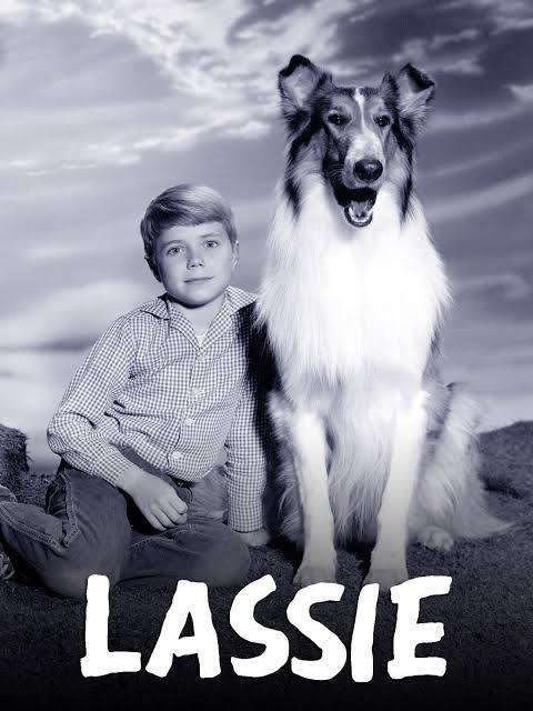 Who is your favorite fictional dog??