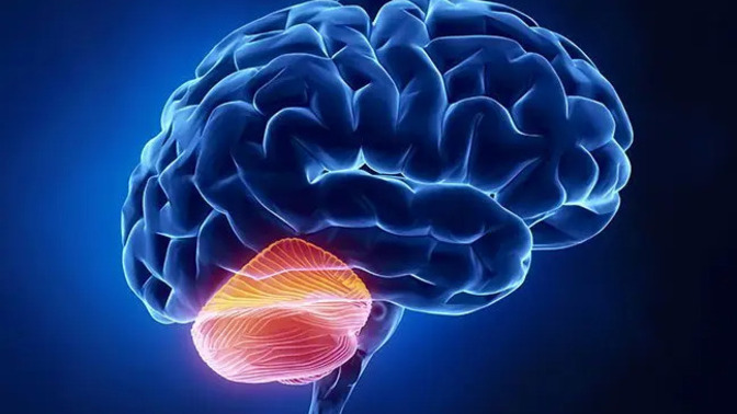 What are some ways to strengthen the cerebellum?