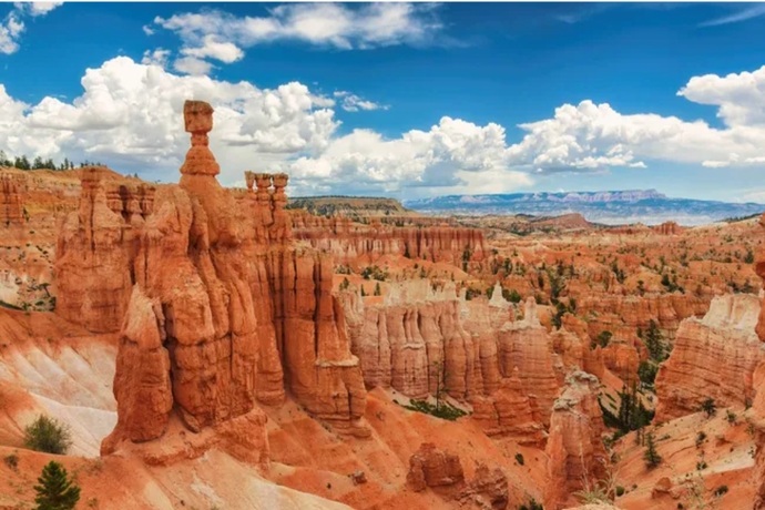 Should beautifulness of a place be determined by variety or square mile?