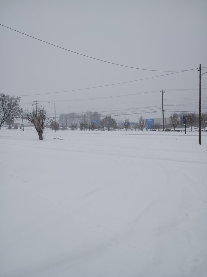 Has anyone in the Southern or Eastern USA received snow?
