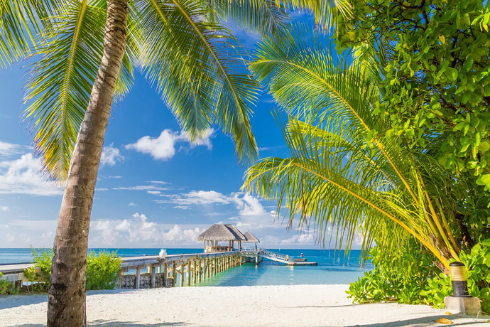 Do you have any vacations planned in the near future?