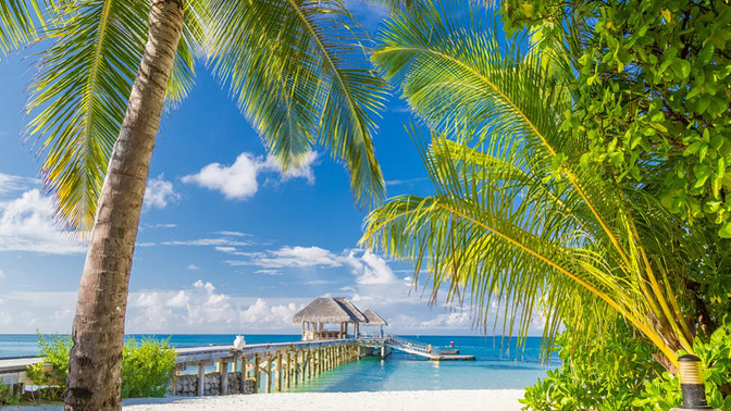 Do you have any vacations planned in the near future?