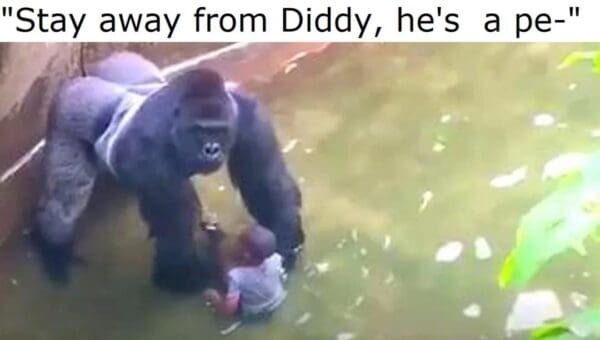 Cause Harambe was real.
