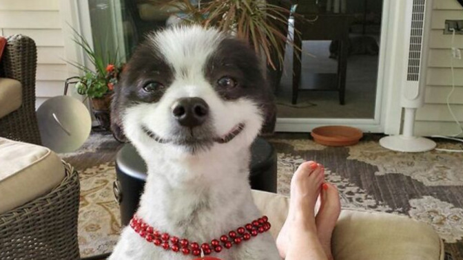 What's something that made you smile today?
