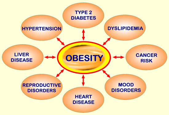 The Obesity rates in America makes Universal Healthcare unaffordable. Do you agree?