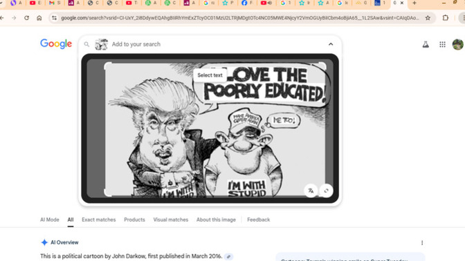 Are MAGA living in reality?