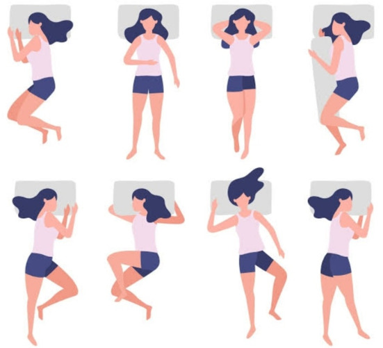 Which position do you sleep in most comfortably?